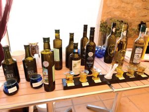 Dégustation des huiles d'olives du concours